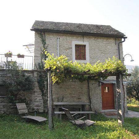 Fattoria L'Amorosa Sementina Kamer foto