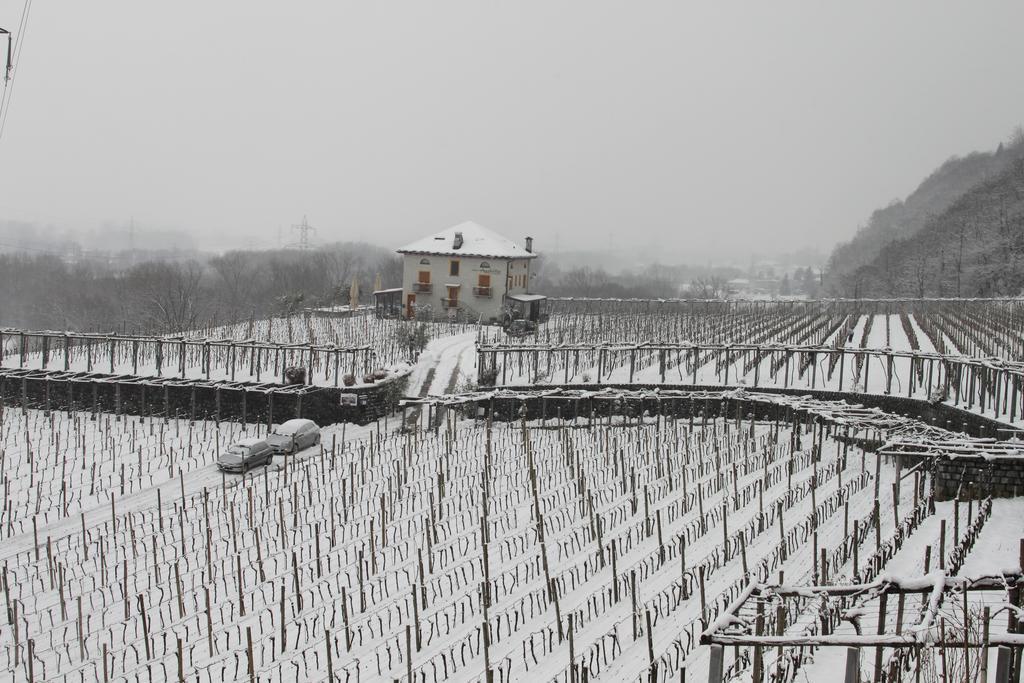 Fattoria L'Amorosa Sementina Buitenkant foto