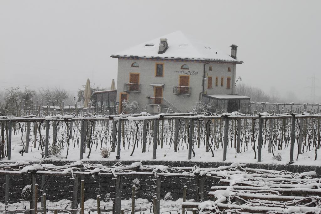 Fattoria L'Amorosa Sementina Buitenkant foto