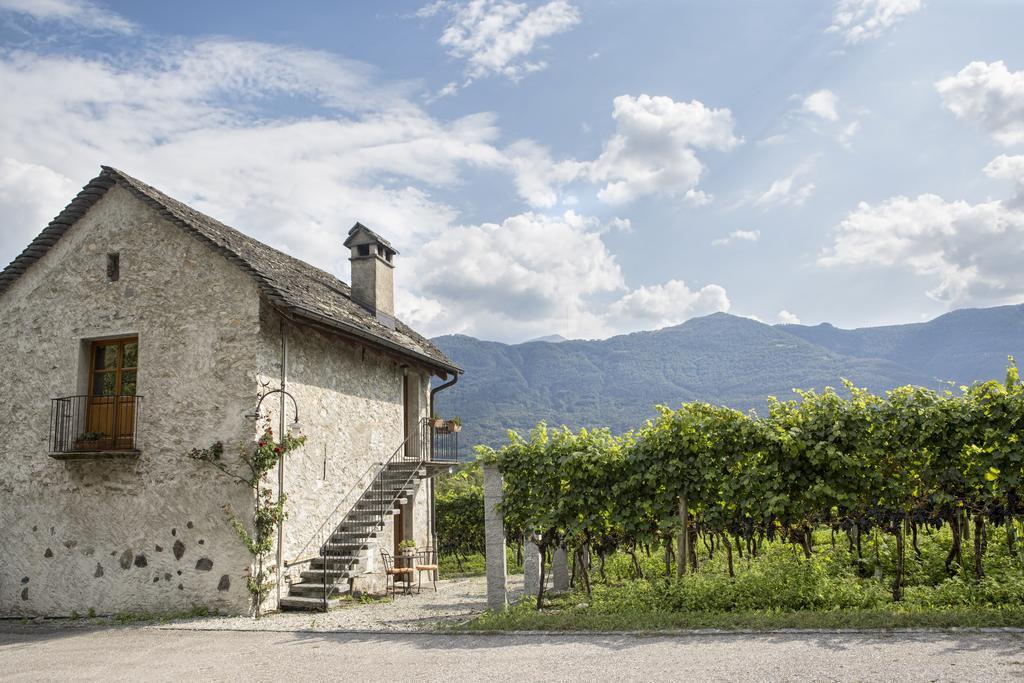 Fattoria L'Amorosa Sementina Buitenkant foto