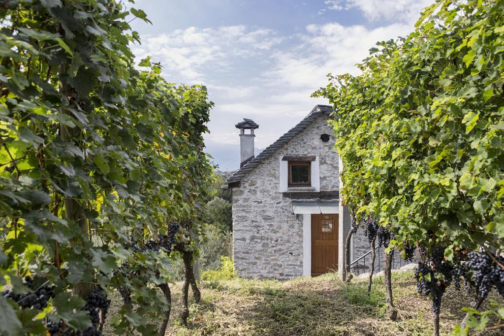 Fattoria L'Amorosa Sementina Buitenkant foto