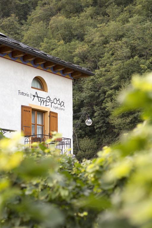 Fattoria L'Amorosa Sementina Kamer foto