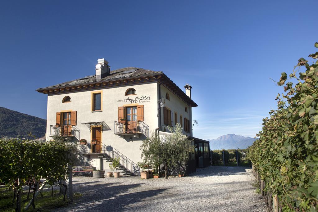 Fattoria L'Amorosa Sementina Buitenkant foto