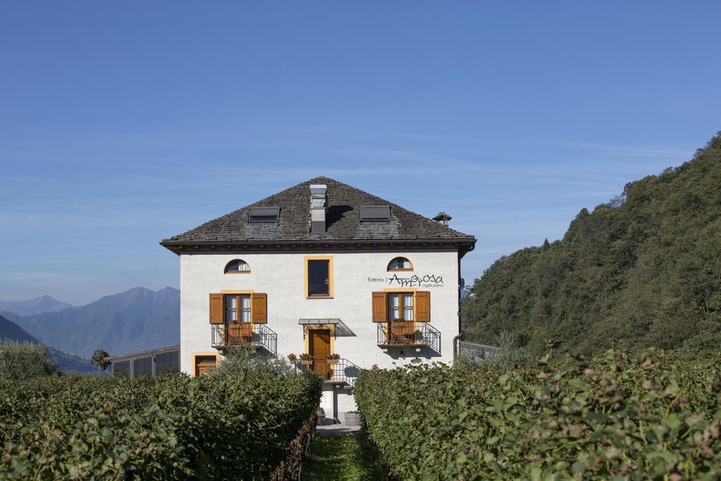 Fattoria L'Amorosa Sementina Buitenkant foto