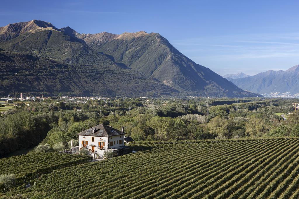 Fattoria L'Amorosa Sementina Buitenkant foto