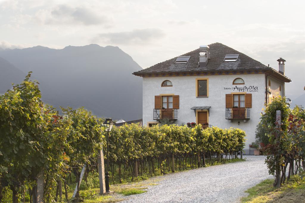 Fattoria L'Amorosa Sementina Buitenkant foto